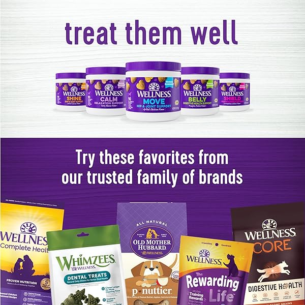 WELLNESS GRILLED CHICKEN FLAVORED SOFT CHEWS HIP & JOINT HEALTH SUPPLEMENTS FOR DOGS, 90 COUNT