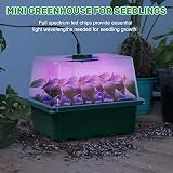MIXC Seed Trays with Grow Light 5Pack with Lids Propagators for Plants view 7