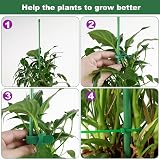 Realure Orchid Sticks 30 cm Pack 15 Adjustable Plant Support Trellis view 6