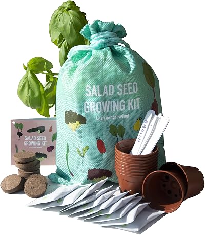 Scott&Co Salad Seed Kit 10 Vegetable Varieties Grow Your Own Veg