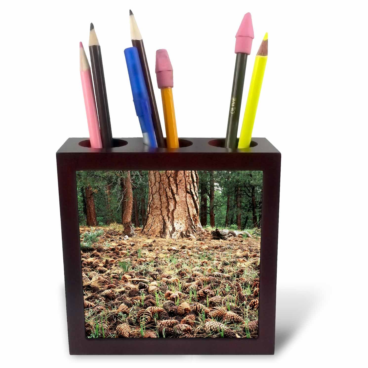 3dRose ph_229992_1 5-Inch California/Inyo National Forest/Pine Cones Tile Pen Holder
