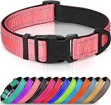 Joytale Reflective Dog Collar Large Neon Pink Nylon Neoprene Padding
