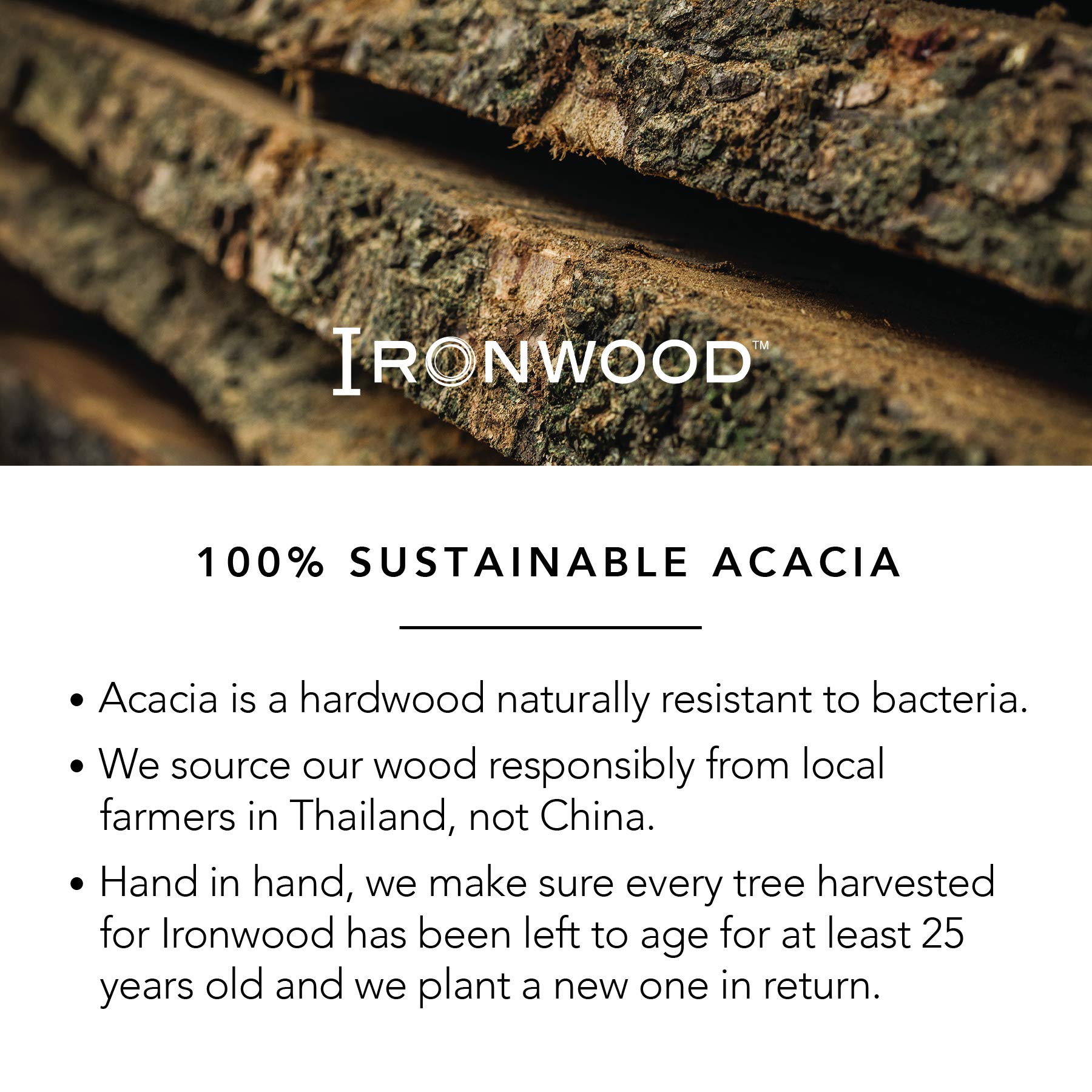 Ironwood Gourmet Fort Worth Steak Plate with Juice Channel, Acacia Wood 13 x 11 x 0.75 -inches, Brown