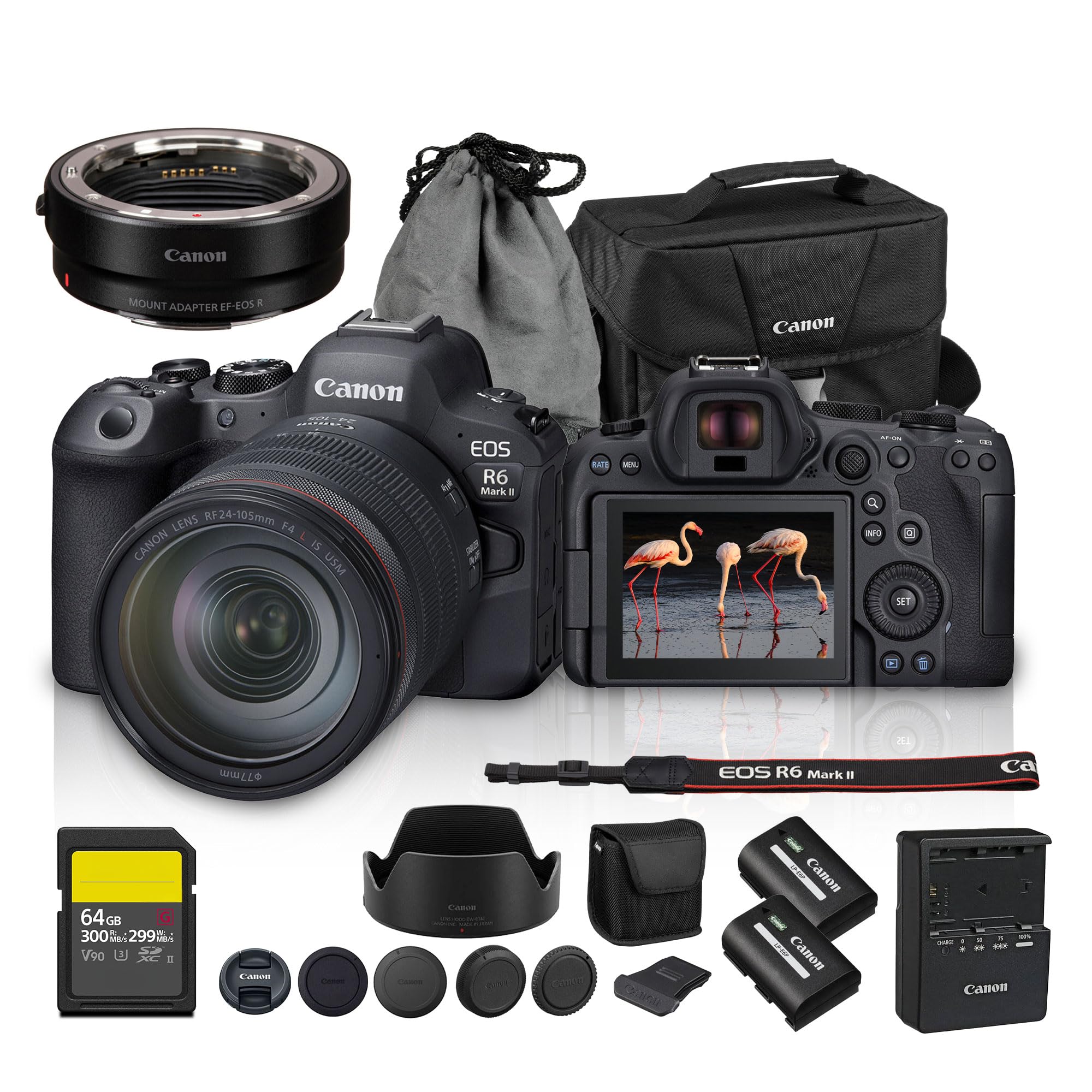 Canon EOS R6 Mark II Mirrorless Camera Kit with RF