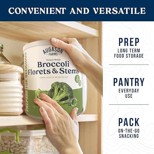 FREEZE DRIED BROCCOLI FLORETS AND STEMS EMERGENCY FOOD SUPPLY, 34 SERVINGS, 30 YEAR SHELF LIFE, GOOD SOURCE OF VITAMIN C – DEHYDRATED MEALS, SURVIVAL FOOD CAMPING ESSENTIALS CAN
