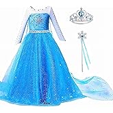Princess Elsa Dress for Girls, Frozen Princess Elsa costume,Snow Party Queen,Birthday Party Dress Up with Accessories