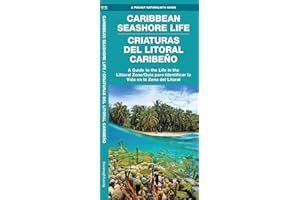 Caribbean Seashore Life / Criaturas Del Litoral Caribeño