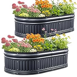 KING BIRD Raised Garden Bed Kit 2025 Upgraded