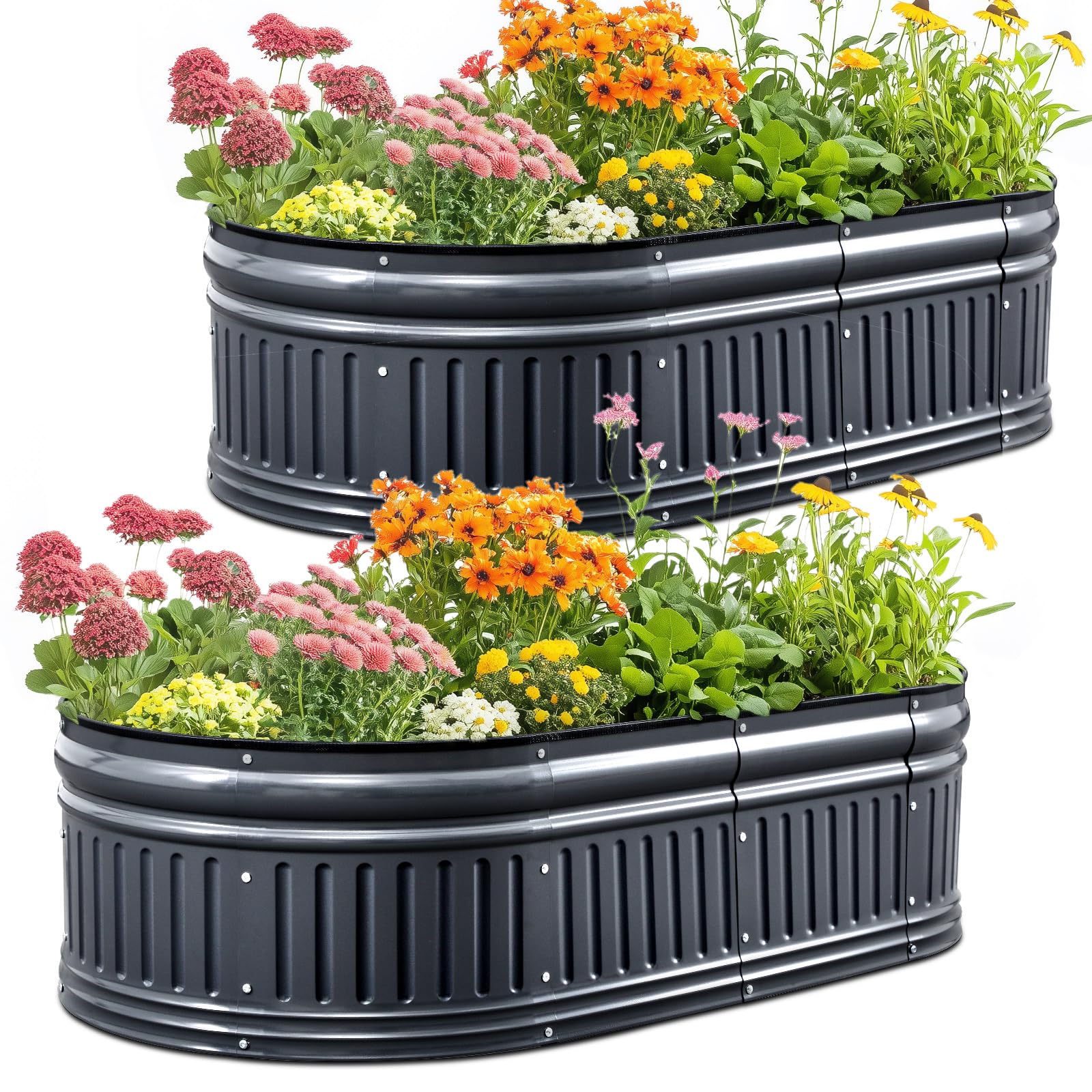 KING BIRD Raised Garden Bed Kit 2025 Upgraded