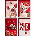 Hallmark Valentines Day Cards for Kids School, Puppy, Kitten, Pig, Hedgehog (24 Classroom Valentines with Envelopes)