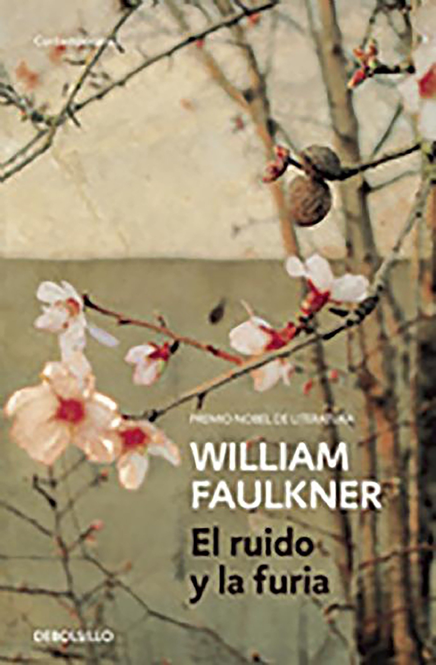 El Ruido Y La Furia The Sound And The Fury Spanish Edition Faulkner William 9788490628188 Amazon Com Books