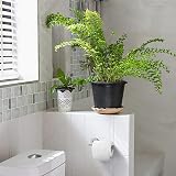 HITSLAM Chrome Toilet Roll Holder Wall Mounted SUS 304 Stainless Steel 2 Pack view 9