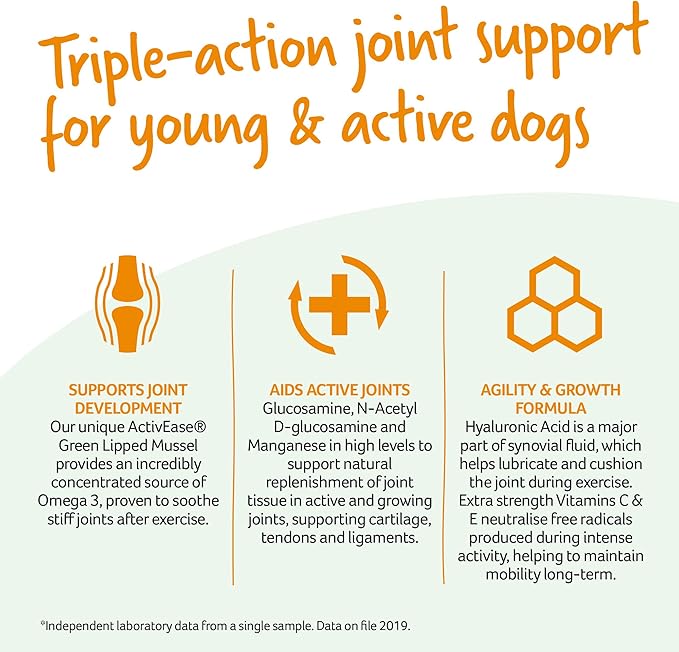 Yumove Young And Active Dog Joint Supplement 60 Tablets Amazon Fr Animalerie