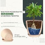 Utopia Home Pink Plastic Planters 10 Pack Multisize Indoor Decorative Pots view 3