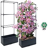 Sumloty 2Pack Raised Garden Bed Planter Boxe with Trellis, 43.4" Self Watering Tomato Raised Planter Box with Trellis for Climbing Vegetable Flowers and Plants, Tomato Cage for Indoor Outdoor Use