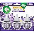Air Wick Plug in Scented Oil Refill, 3ct, Lavender & Chamomile, Air Freshener, Essential Oils
