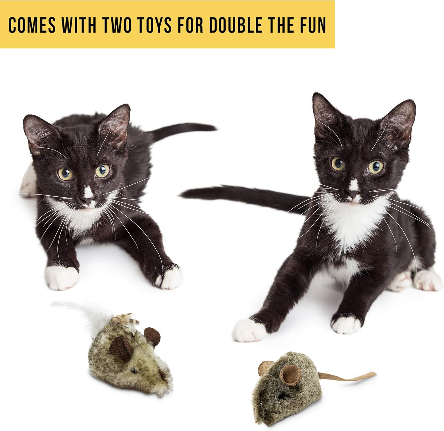 OurPets Play-N-Squeak Twice the Mice Cat Toy, 2pc (Interactive Cat Toy, Catnip Toy, Catnip Toys for Cats, Real Mouse Electronic Sound, Catnip, Cat Toys) : Pet Mice And Animal Toys : Pet Supplies
