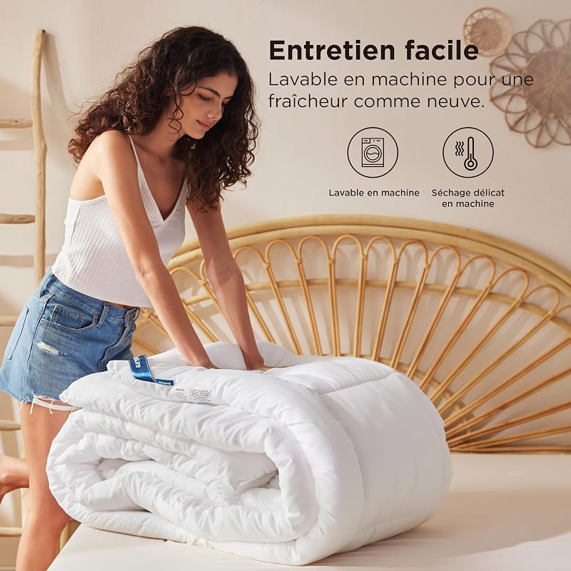 Couette 260x240 4 Saisons - Couette sans Housse 300g/m²