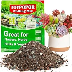 TOYPOPOR Succulent Soil, Cactus Potting Mix 3.75