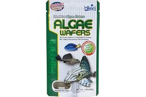 Hikari USA Inc AHK21316 Tropical Algae Wafer 2.89-Ounce