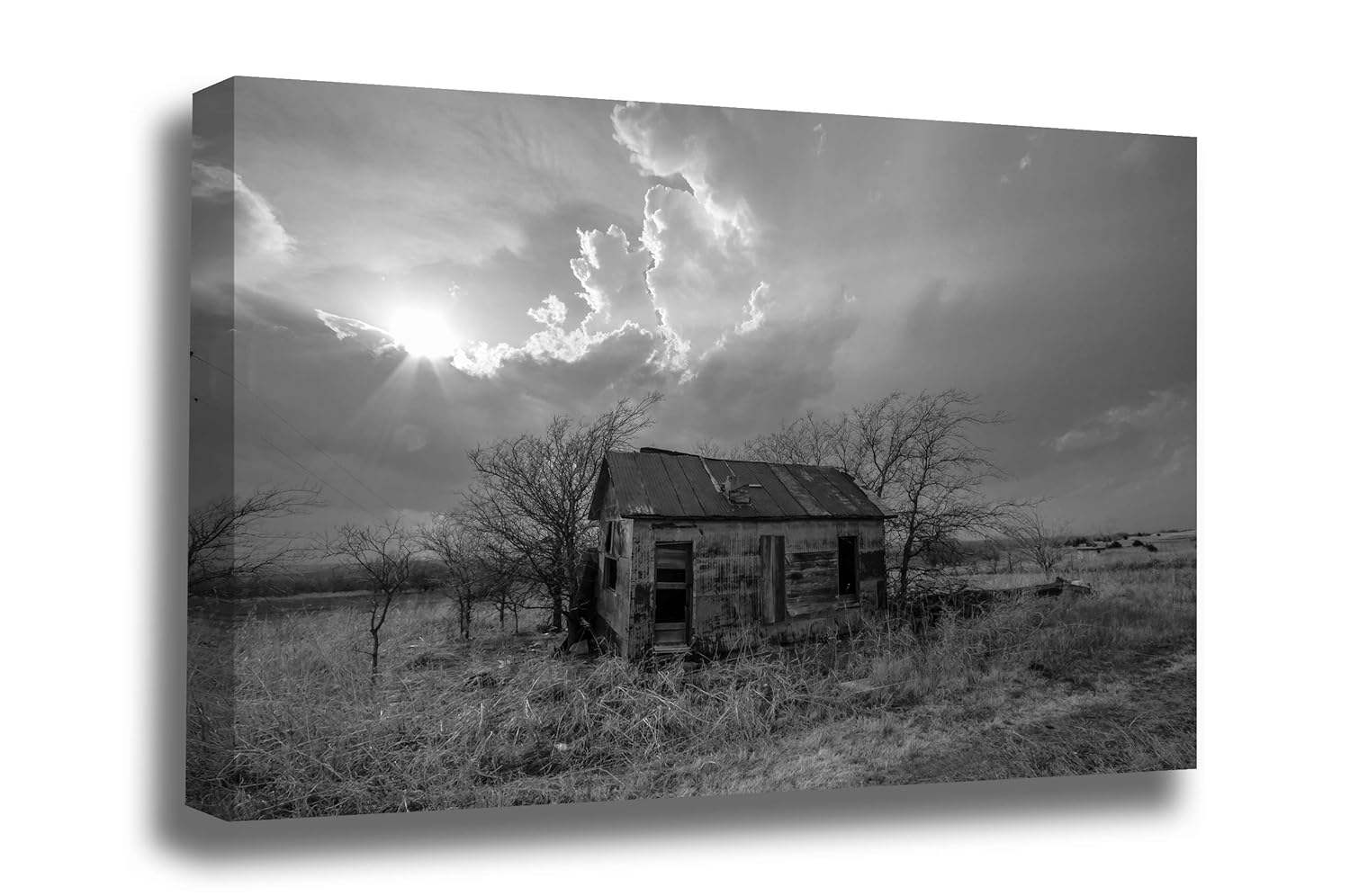 Amazon Com Black And White Canvas Wall Art Gallery Wrapped