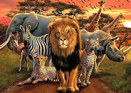 Toys Games Educational Intellectual Decompressing Puzzle Game Agnelggh Animal Jigsaw Puzzles 1000 Piece Puzzles Jigsaw Puzzles For Adults And Kids Whale Puzzles