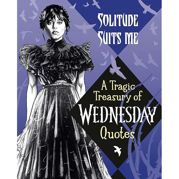 Wednesday A Seek & Find Book: Random House: 9798217025916