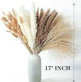 ANPROOR Dried Pampas Grass Decoration 100 Pcs Bunny Tail Dried Flowers view 3