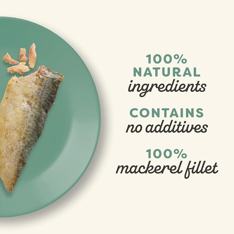 100% Natural Cat Treat Snack Whole Mackerel Loin para gatitos, adultos y gatos mayores - Paquete de 12 bolsitas de 30 g
