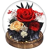 MOKOQI Birthday Gifts for Women Preserved Red Real Rose Flowers in Glass Dome, Forever Rose Valentines Day Gift for Her Mom on Christmas Birthday Flowers for Delivery Prime