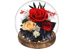MOKOQI Birthday Gifts for Women Preserved Red Real Rose Flowers in Glass Dome, Forever Rose Gift for her Mom Wife Girlfriend on Christmas Birthday Anniversary