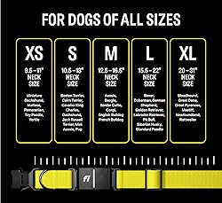 Fi Series 3 Smart Dog Collar - GPS Dog Tracker and