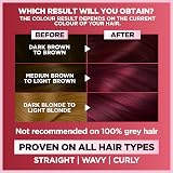 Garnier Nutrisse Ultra Color Hair Dye Vegan 3.62 Burgundy Garnet 100% Grey view 3