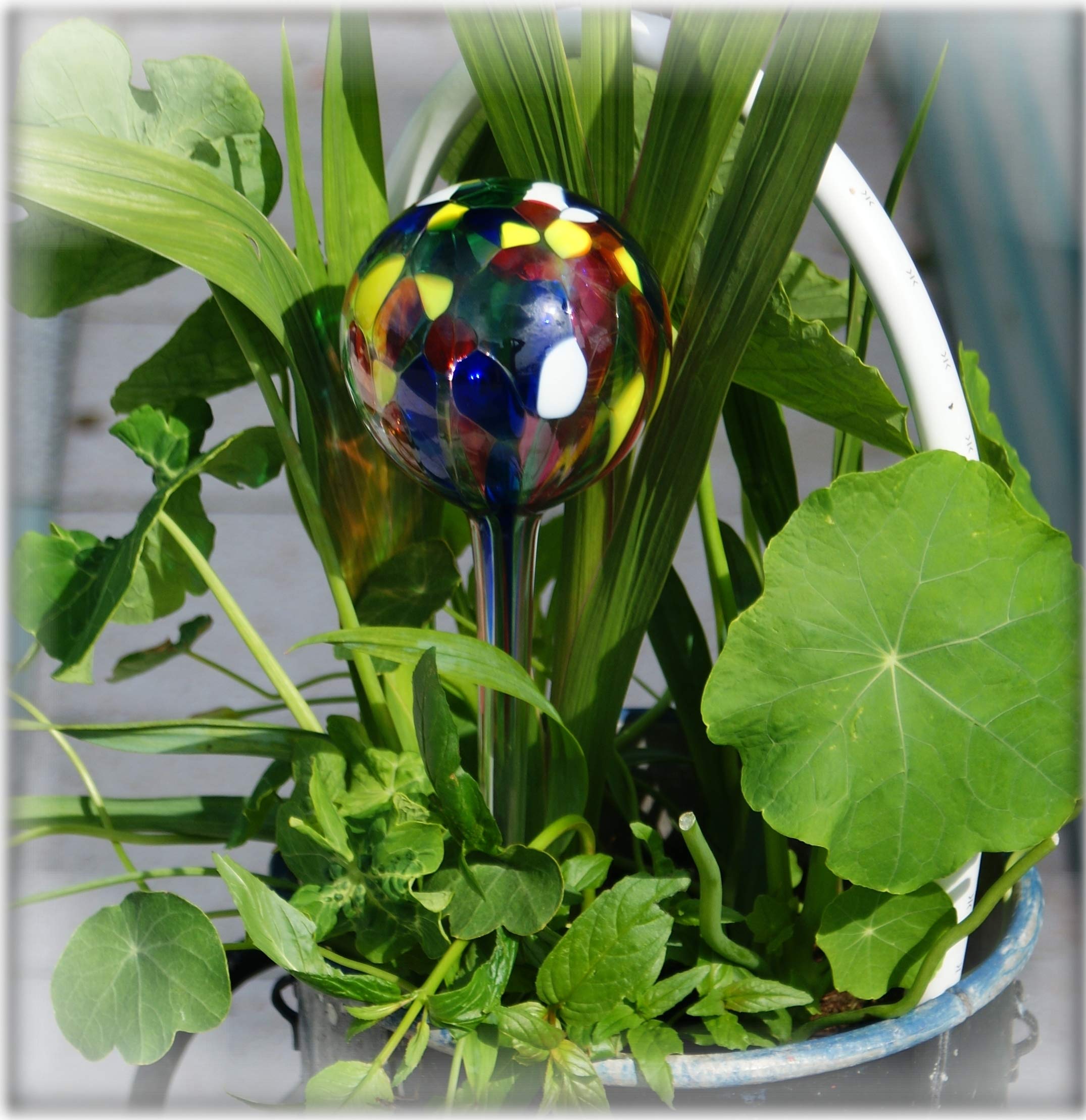Milford Collection Hydroglobe plant waterer decoration - SMALL PLANTS