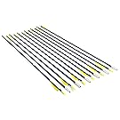 ANTSIR 28-Inch Fiberglass Archery Target Arrows,Practice Arrows for Children,woman or Beginner,with Adjustable Nocks for Traditional & Recuve Bow(Pack of 12)