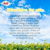 Doff Natural Rooting Powder 75G Promotes Strong Healthy Roots view 6
