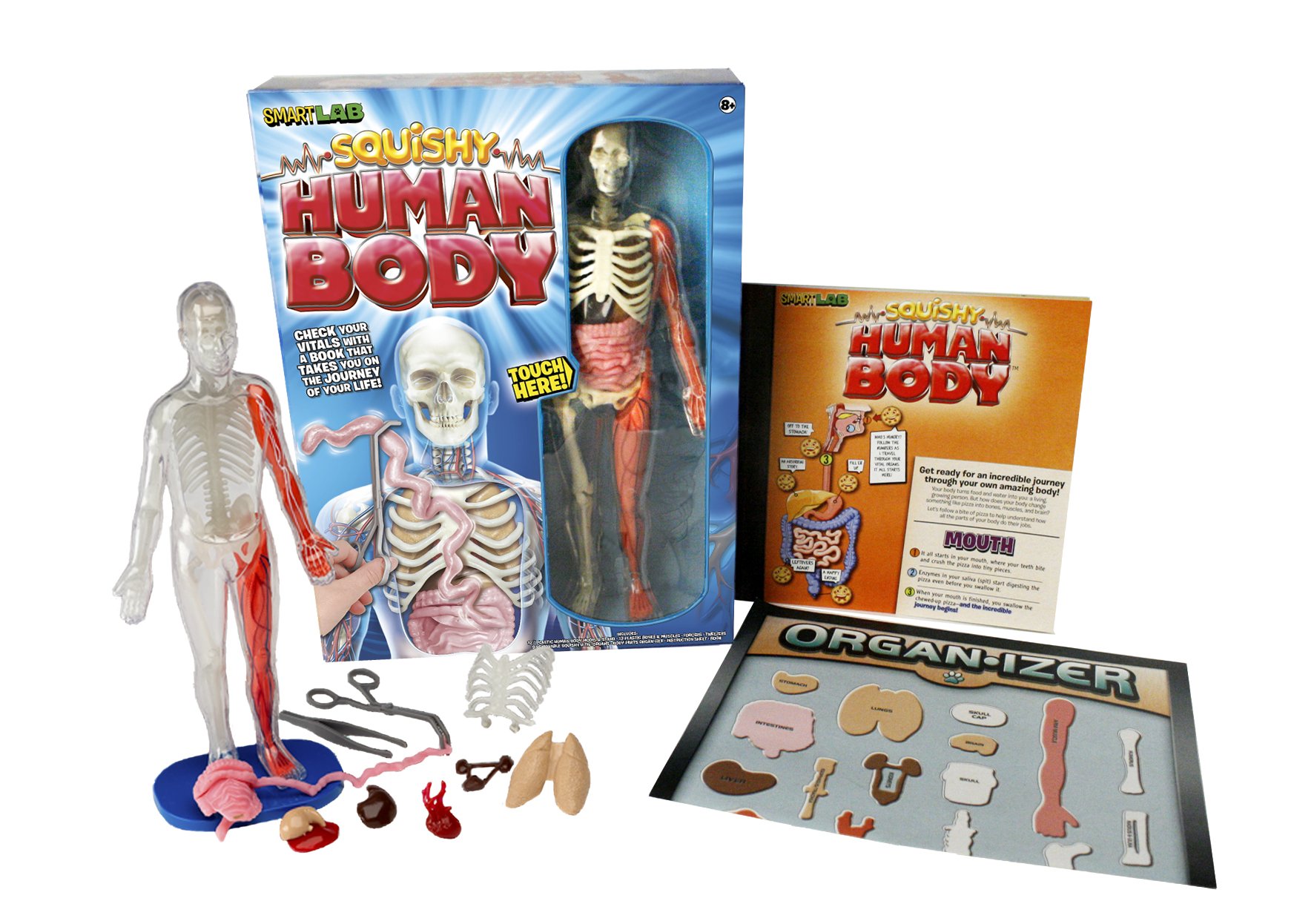 New Human Body Anatomy Toy SmartLab Kids Toys Squishy Human Body Book
