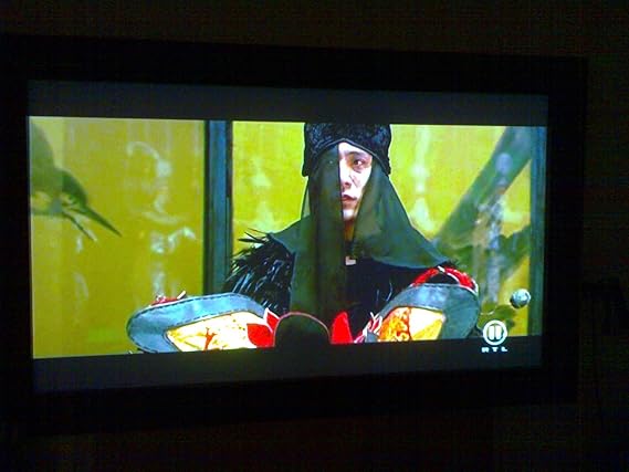 LEINWAND f. RÜCKPROJEKTION, GRAUE Folie für HEIMKINO + Event ca. 1,52 x 2,02 m, Rear + Front Projection Matte, METERWARE ca.1