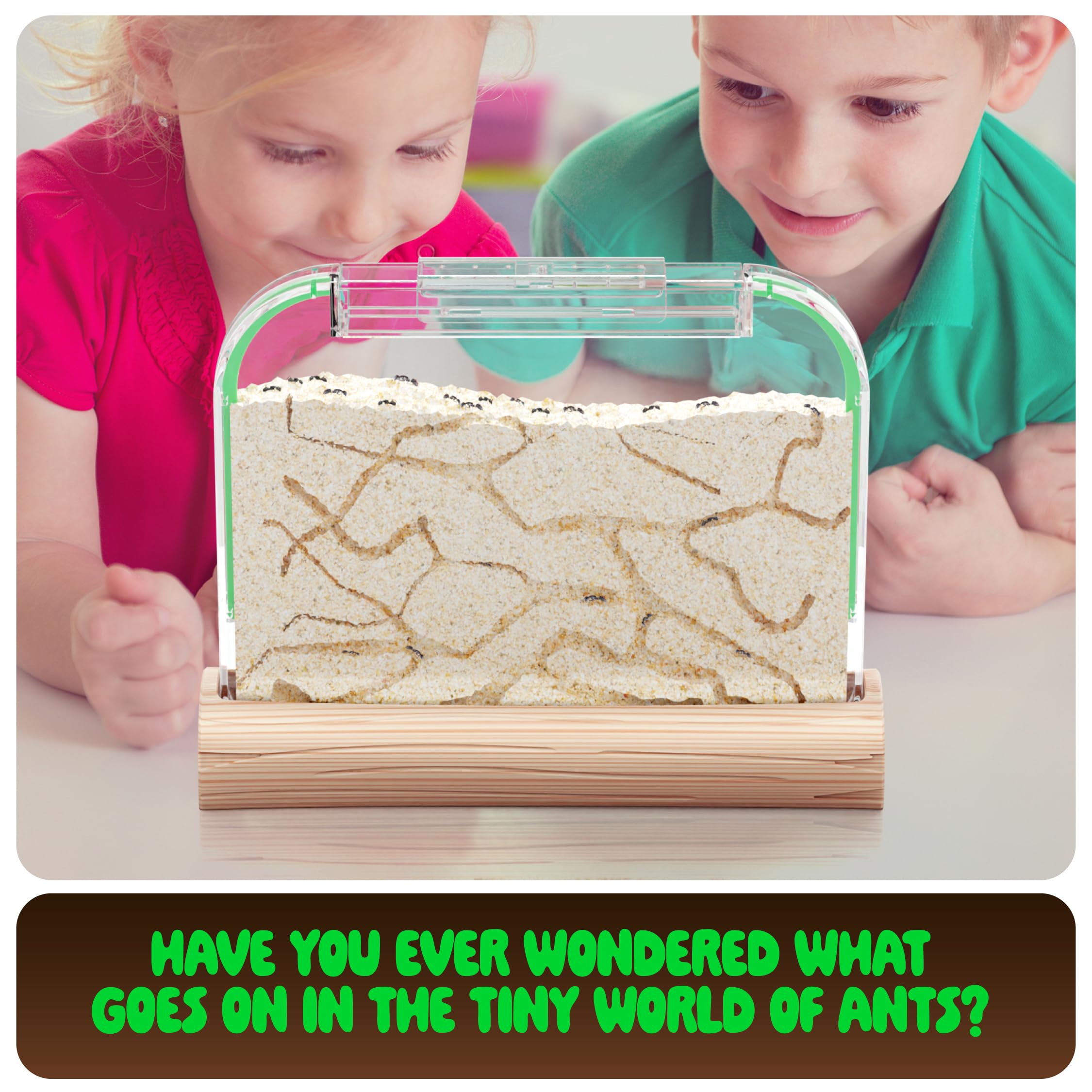 Dan&Darci Ant Farm Kit for Kids - Farms Colony - Includes Ants Voucher - Sand Habitat Kits - Bug Terrarium House - Educational Science Gifts for Kid - Nature Learning Toys for Boys, Girls & Adults