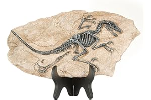 1st Heaven Dinosaur Fossils, Resin Dinosaur Skeletons, Dinosaur Figurines for Home Decor, and Dinosaur Gifts for Adults (Style 1), Yellow
