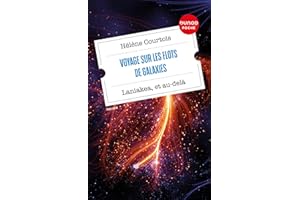 Voyage sur les flots de galaxies-Laniakea, et au-delà (French Edition)