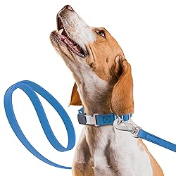 Randstark Biothane Waterproof Durable Dog Leash