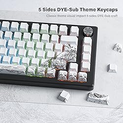XVX Shine Through Keycaps - PBT Dye Sub Keycap