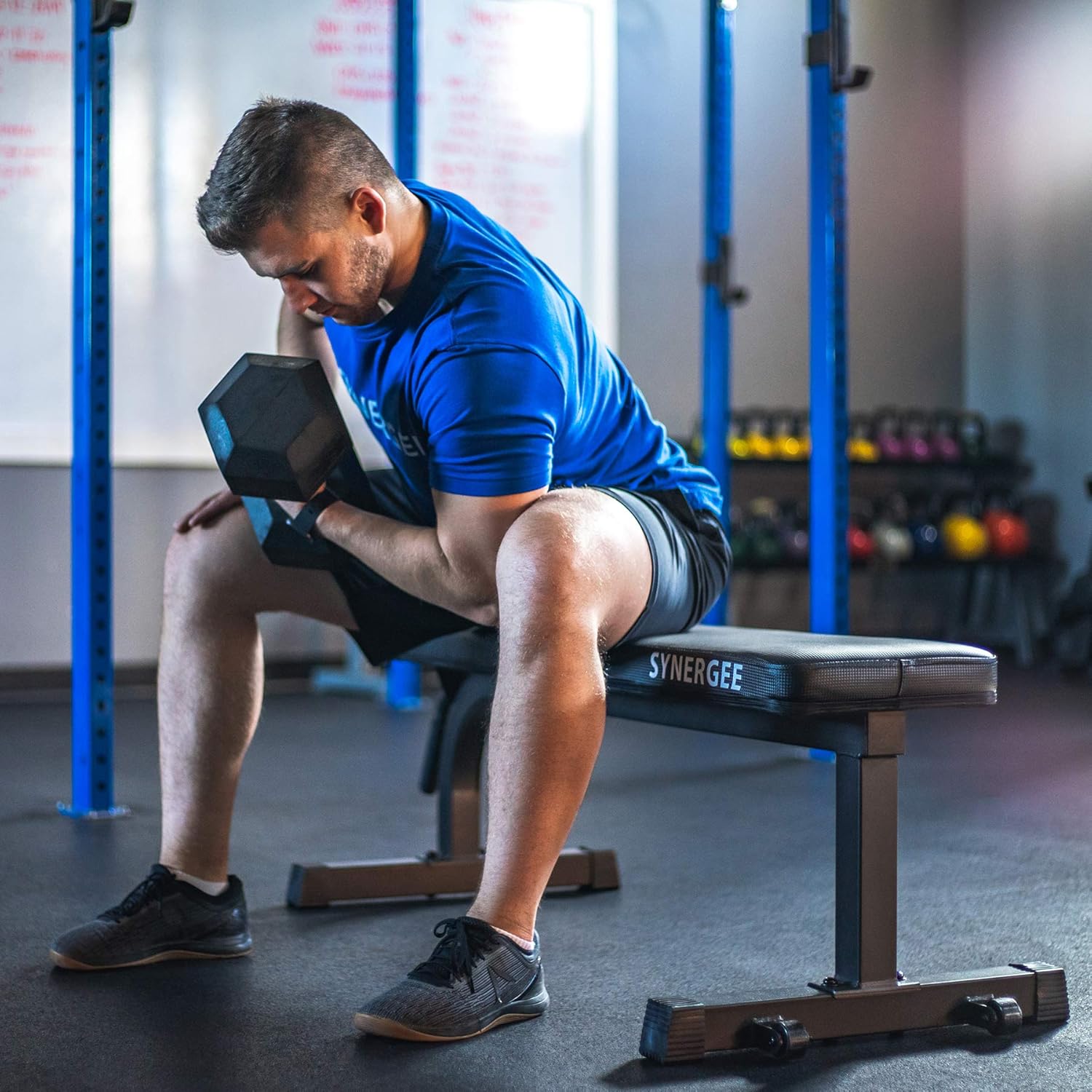 Synergee Flat Bench Workout Bench –Perfect for Pressing Exercises – Weight Bench for Dumbbell & Barbell Press Workouts – Great for Commercial, Garage and Home Gym: Sports & Outdoors