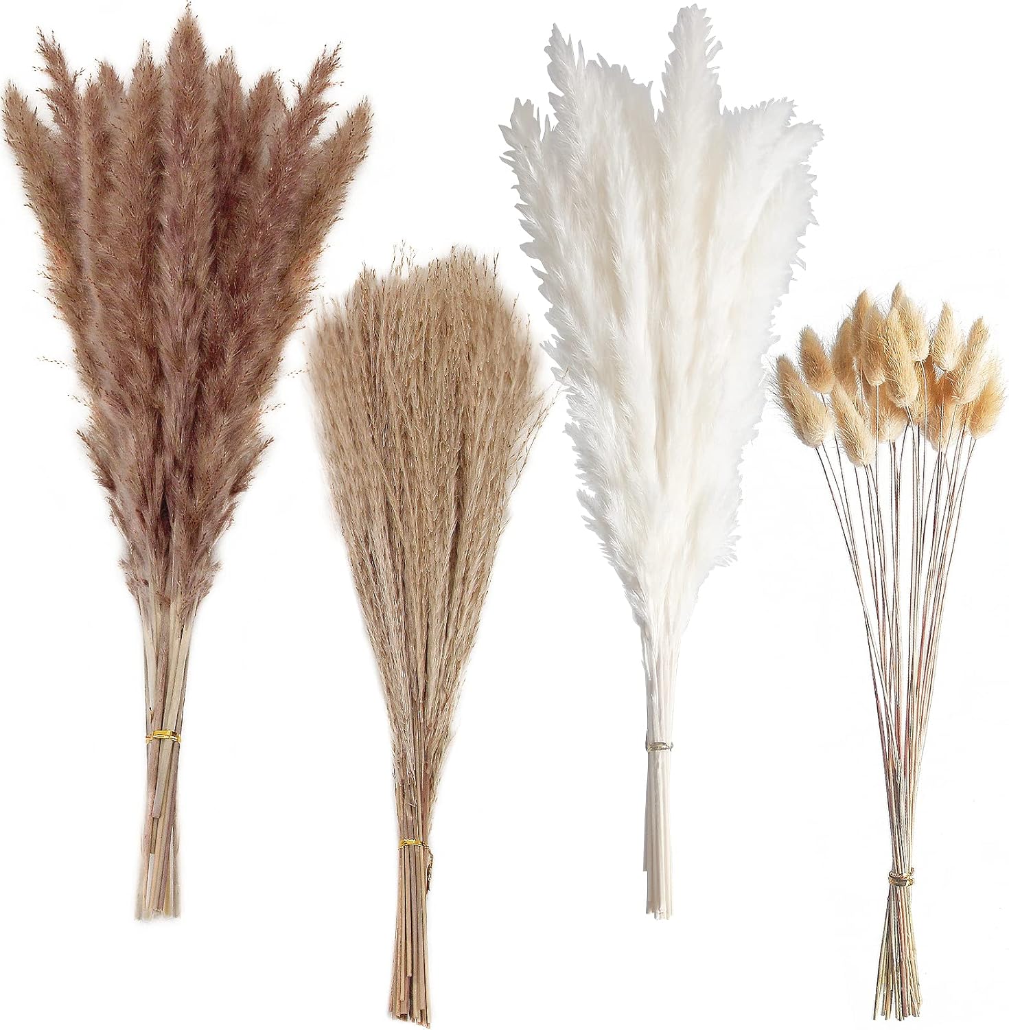 Dried & Preserved Flora - 100 PCS Small Boho Pampas Grass, 17