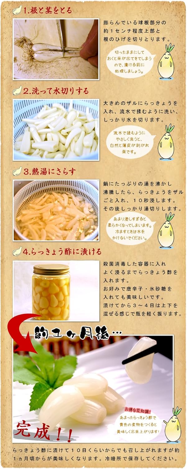 土 付き らっきょう 土 付き らっきょう 洗い 方