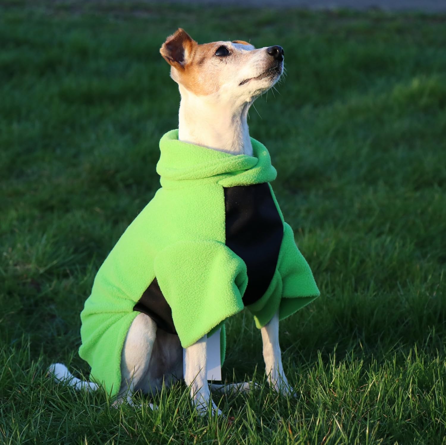 Glenndarcy dog fleece Clearance