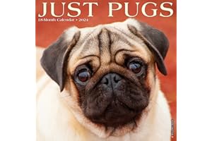Willow Creek Press Pugs Monthly 2024 Wall Calendar (12" x 12")