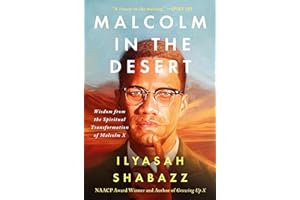 Malcolm in the Desert: Wisdom from the Spiritual Transformation of Malcolm X