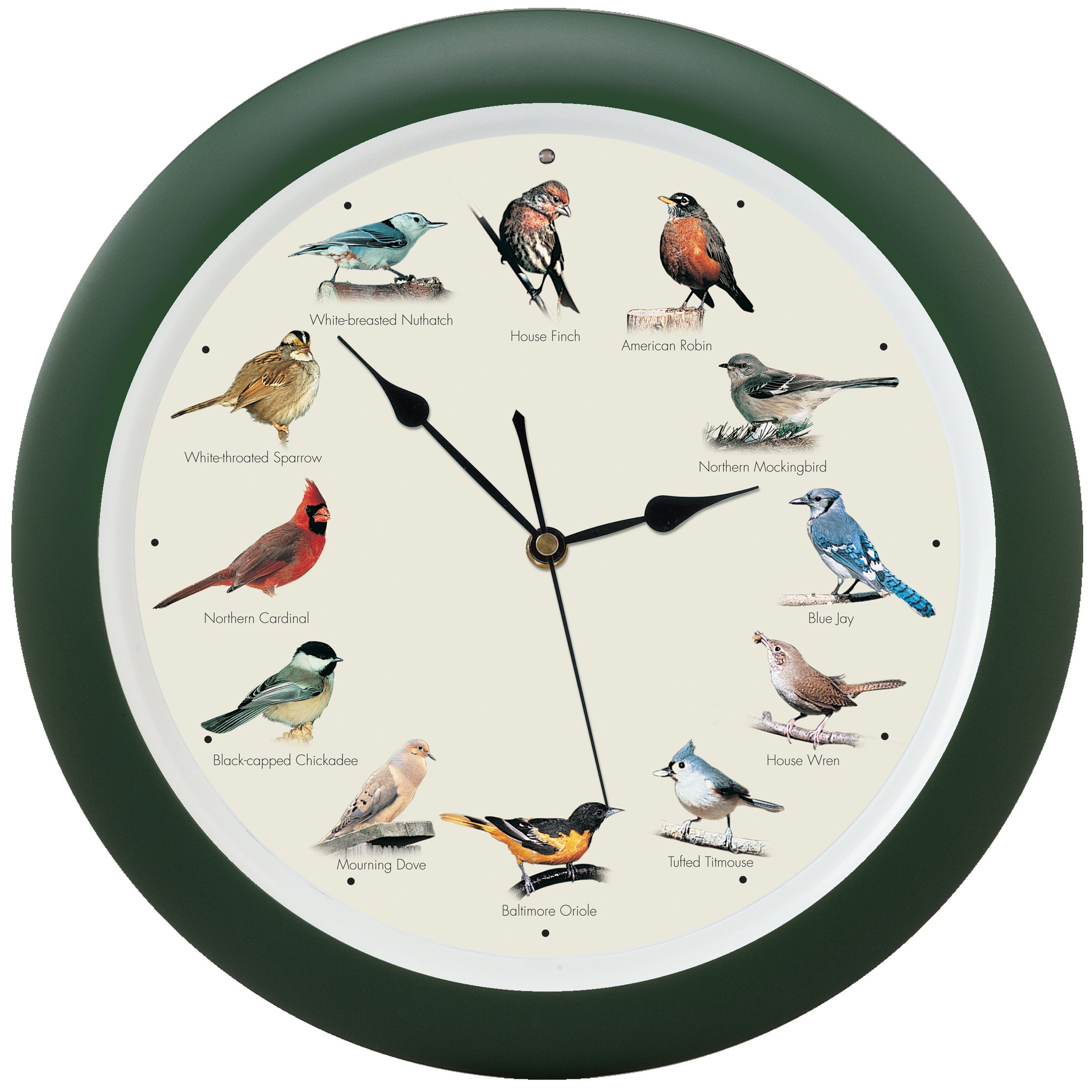 Mark Feldstein and Associates DLB023GR Original Singing Bird Clock 13
